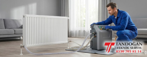 Petek Temizleme Hizmetleri